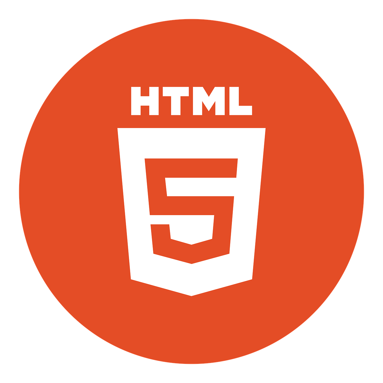 HTML5 Icon